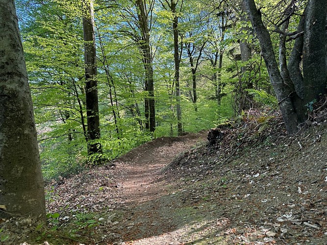 FLOW TRAIL D'INITATION DU COL DE LARRIEU