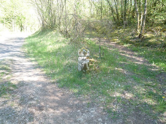 Track of "Reyrevignes" starting from La Paille Basse