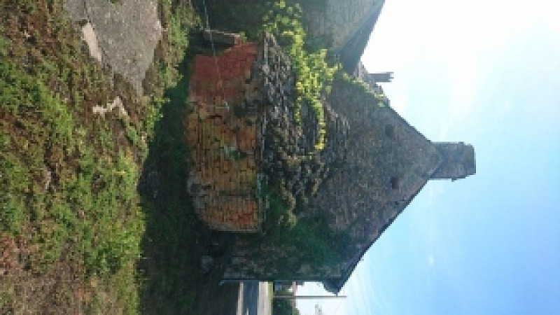 fourboucledesorchidéesAA