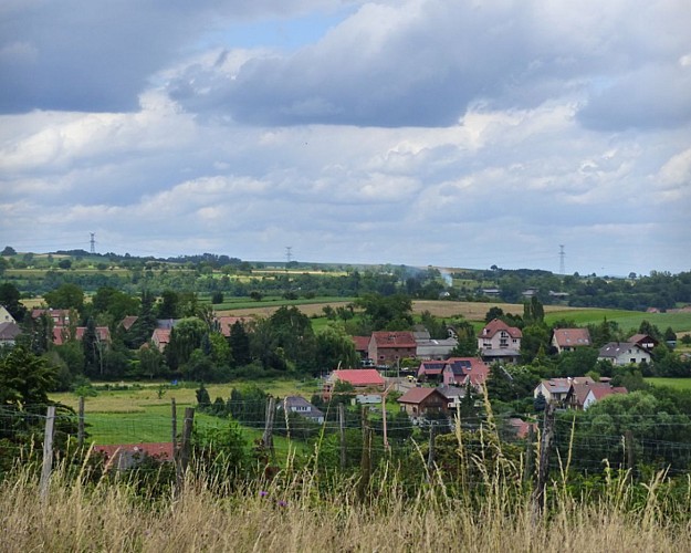 Balade en famille : Circuit découverte de Cosswiller