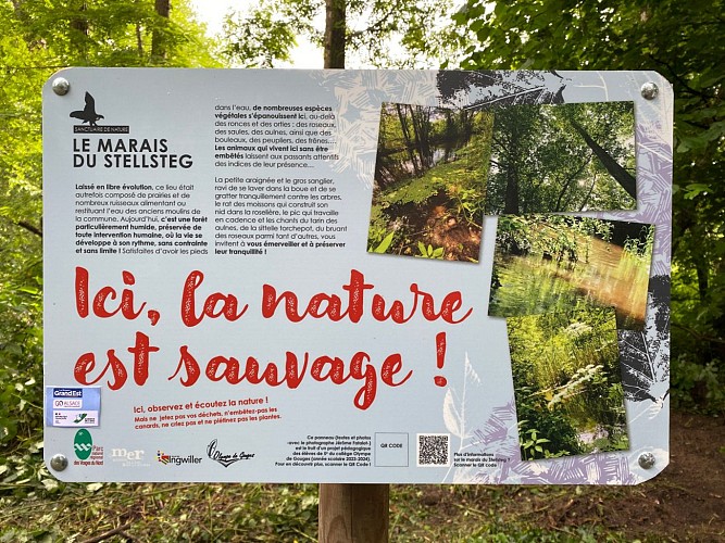 Panneau pédagogique du collège d'Ingwiller