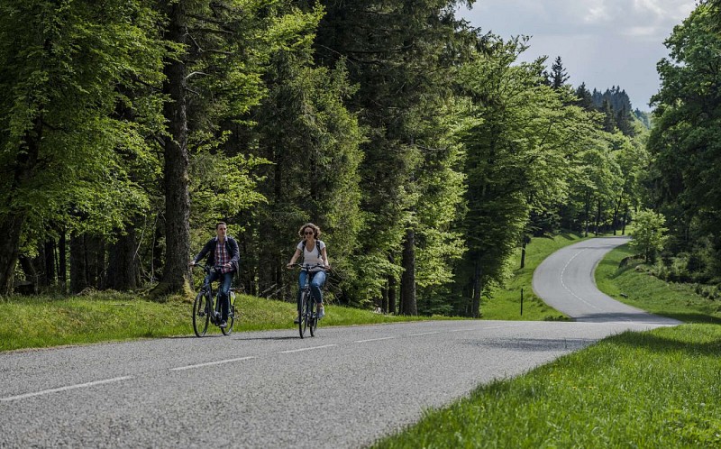 Rennradtour C14 : Wanderrundweg von Schirmeck über Abreschviller Dabo Wangenbourg und Urmatt