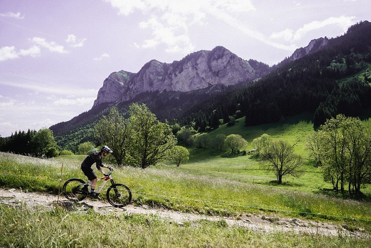Mountain biking: Circuit n°7 The big forest