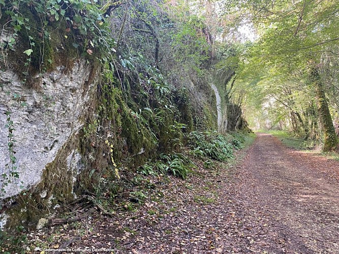 Theze - Pays de Gourdon entre Lot et Dordogne B.Vaucan