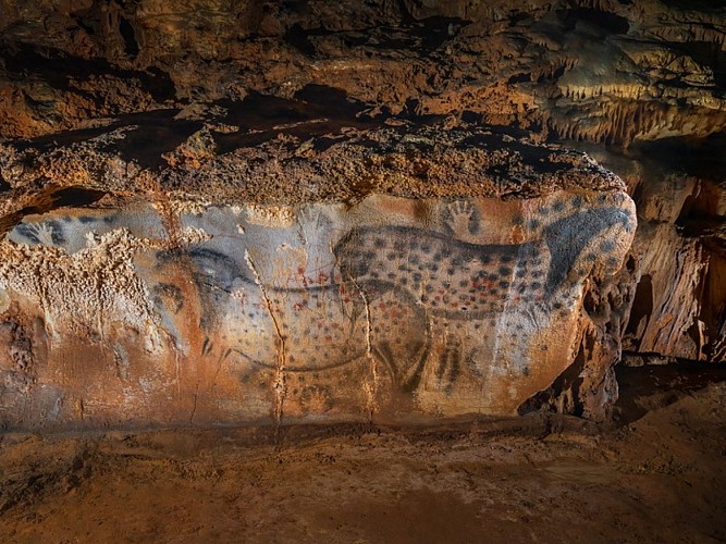 Chevaux ponctués - vue large - Grotte du Pech Merle
