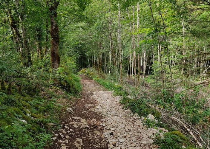 Autour du désert