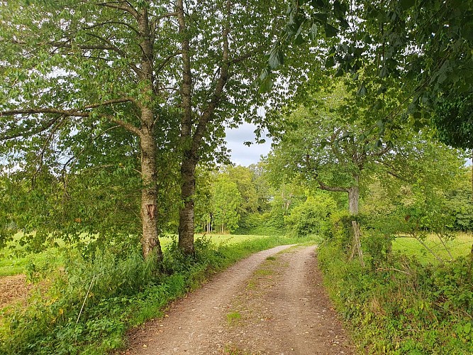 Mountainbiken: Circuit n°8 The lakes