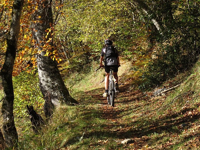 LE TOUR DU HAUT ARBAS - N°32