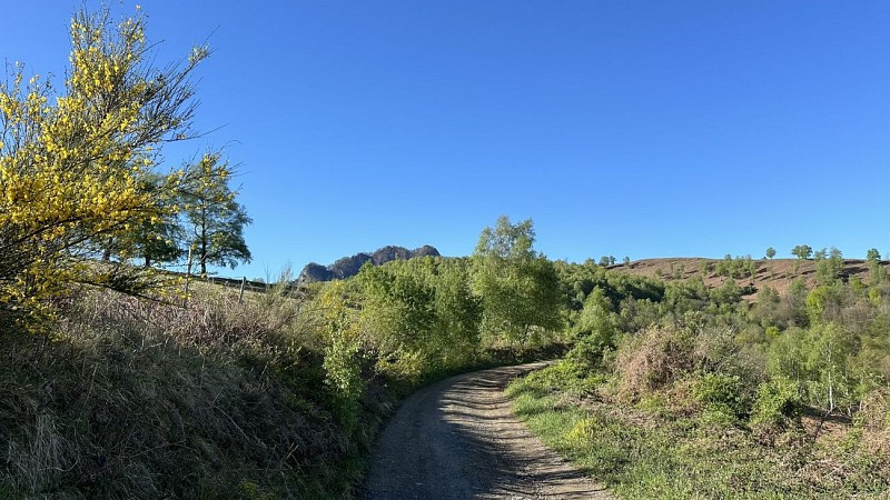 DÉCOUVERTE DU COL DE LARRIEU