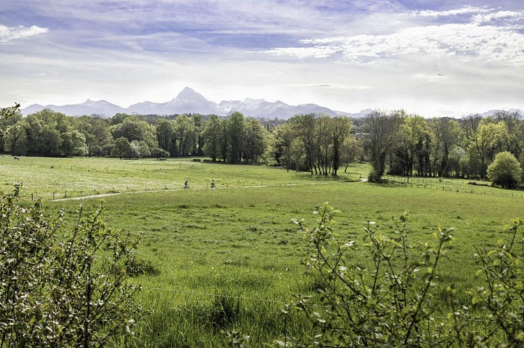 VTT : Circuit n°11 Le Tour du Plateau de Gavot