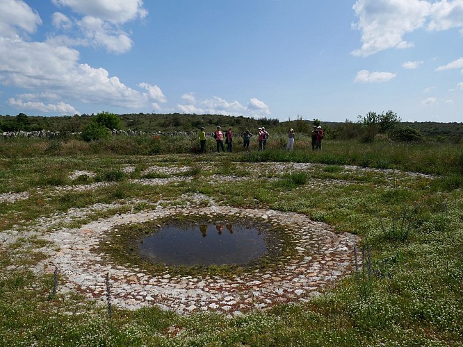 Sentier d'interprétation de l'agropastoralisme de Campestre-et-Luc_Le Vigan
