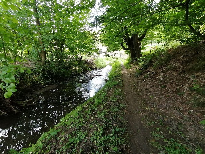 Le ruisseau des Awirs