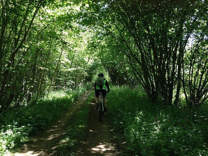 Circuit VTT - Bourlémont