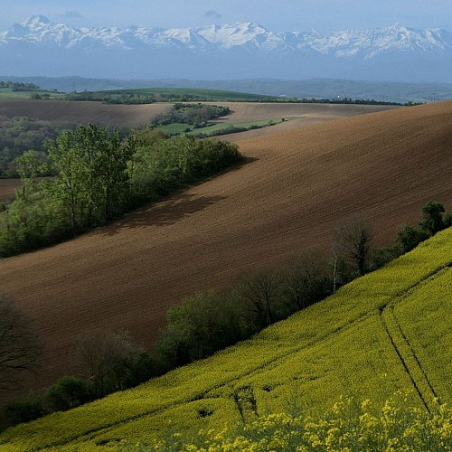 Le Volvestre