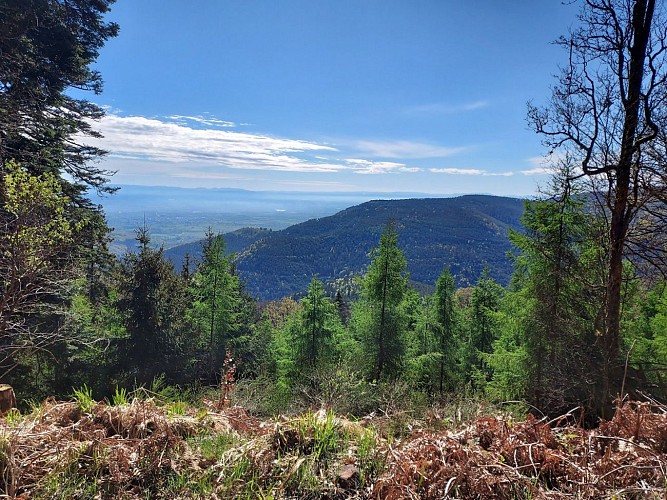 Rundfahrt: vom Turm zum Berg