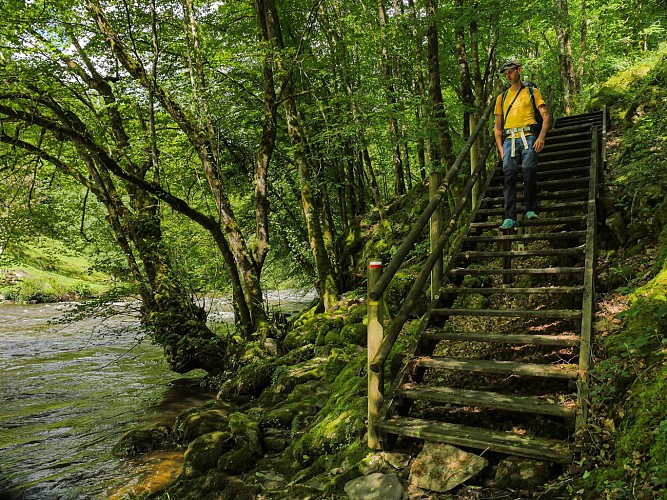 Corrèze Tourisme_GR46_Passage aménagé (2)_© David Genestal_juin 2024