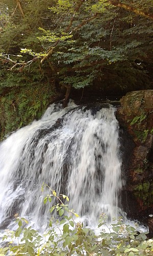 cascade 0_3