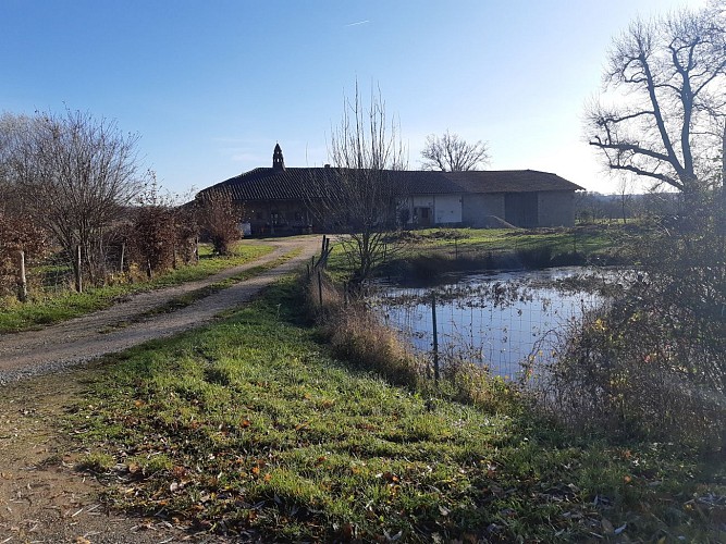 Sur les chemins de St Didier d'Aussiat