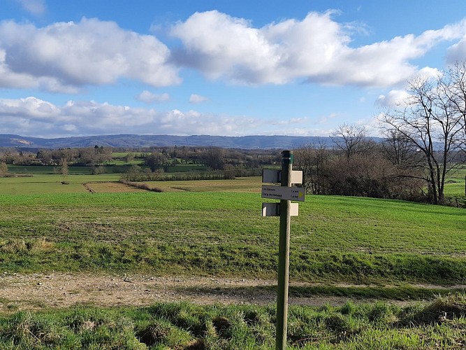 Etang des Baisses et ferme de Bévey (VTT)