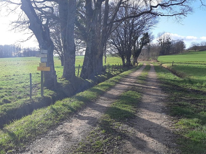 Etang des Baisses et ferme de Bévey (VTT)