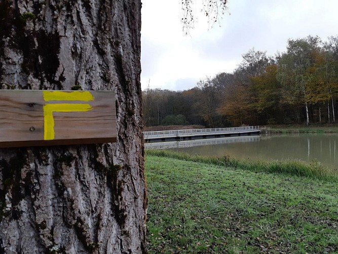 Coligny - Etang de Fougemagne (VTT)