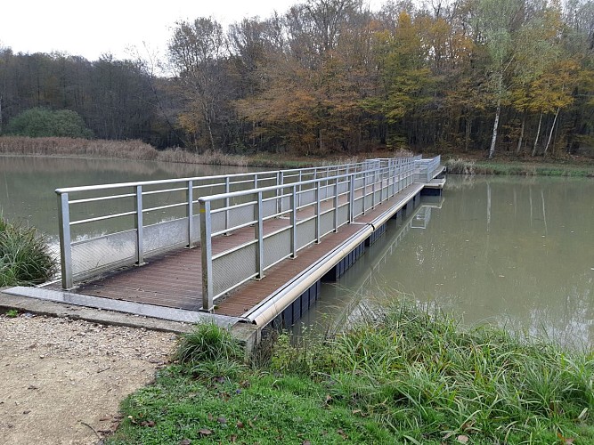 Coligny - Etang de Fougemagne (VTT)