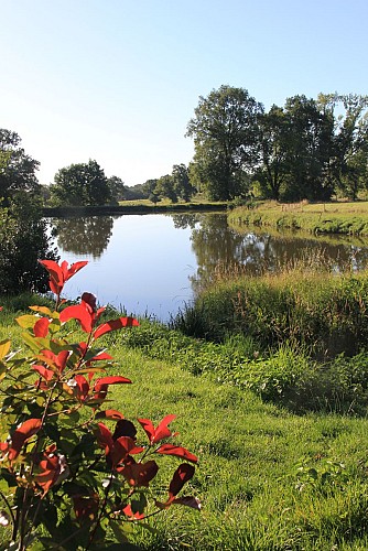 Randonnée des champs