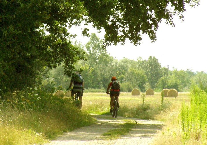 Beaulieu sur Loire - Loire à Vélo Maimbray 05 15 juillet 2007 - OT Terres de Loire et Canaux - I.Rémy