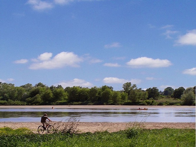 Nature - Loire - vélo canoé - OT Terres de Loire et Canaux - I.Rémy (1)