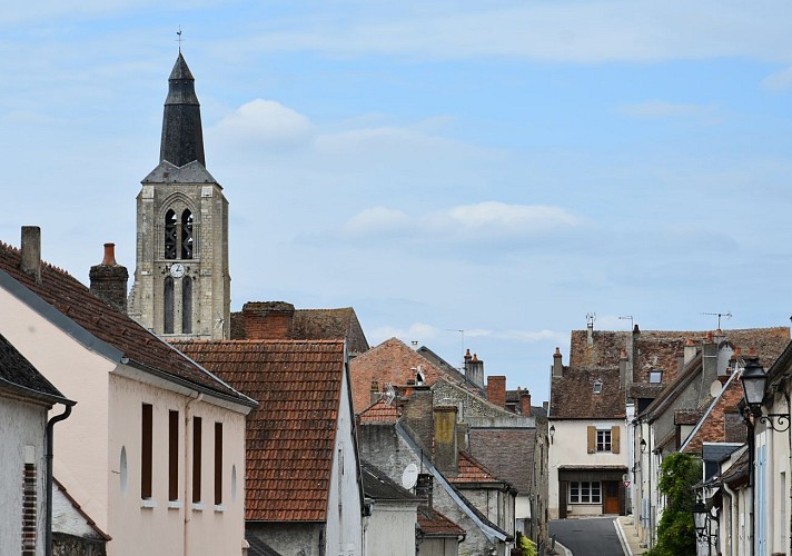 Bonny sur Loire - Eglise St Aignan - 3 septembre 2018 - OT Terres de Loire et Canaux - IRémy (3)