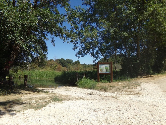 Châtillon sur Loire - Ile à Gaston - 26 août 2016 (4) - OT Terres de Loire et Canaux - I. Rémy