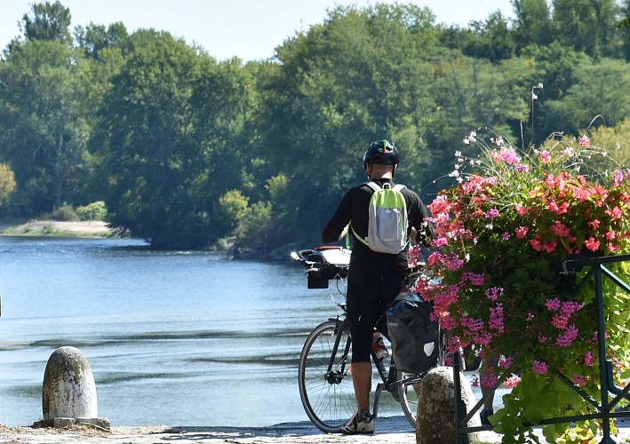 Ambiance cyclo Loire- 12 septembre 2018 - OT Terres de Loire et Canaux - IRémy (7) (1)(1)