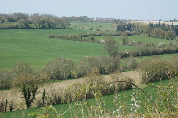 La Fontaine Froide