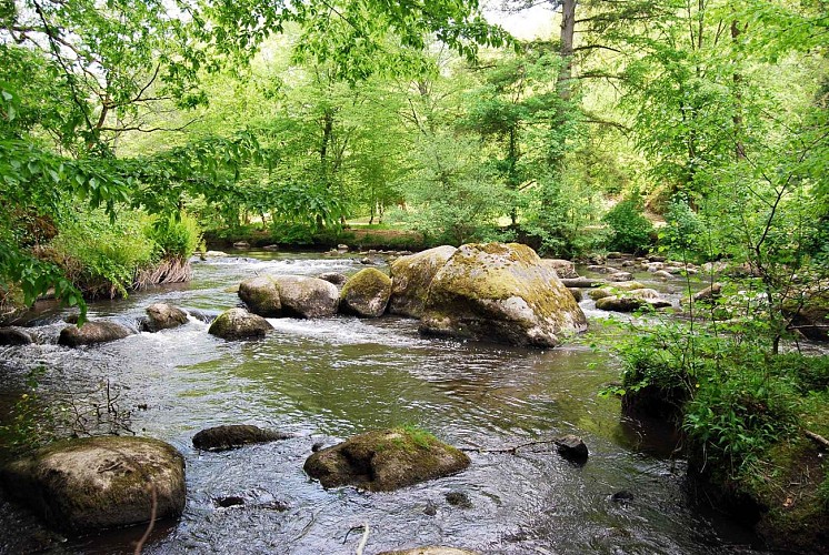 Sentier les Aubespins_5