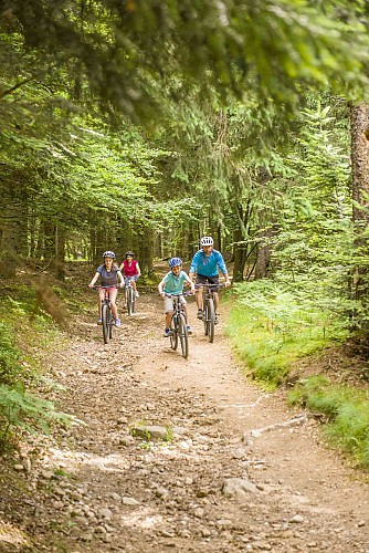 Circuit VTT N°4 La Petite Suchere