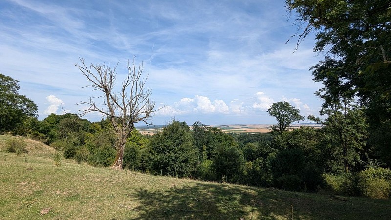 Chemin vers l'ancien camp des Romains II