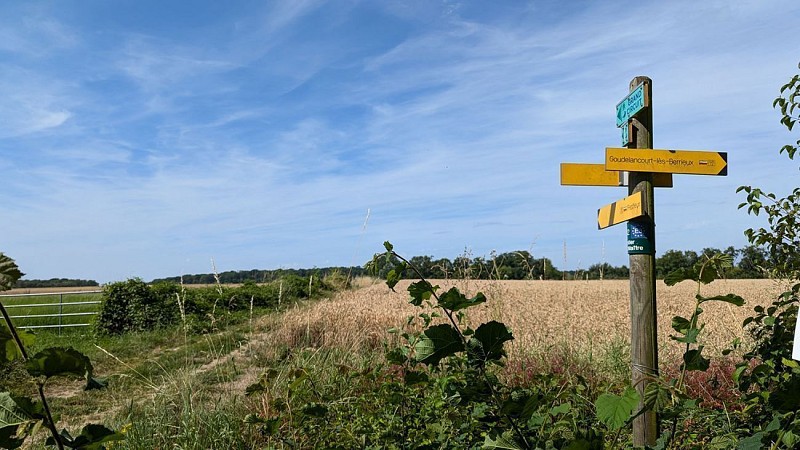 Ancien camp des Romains II