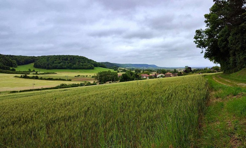 Les côtes de Meuse | Varnéville