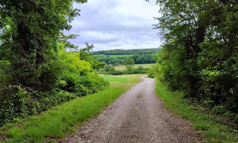 Chemin dans la campagne | Varnéville