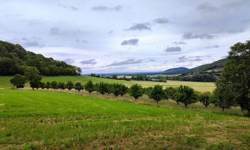 Le fond de Beauvil | Varnéville