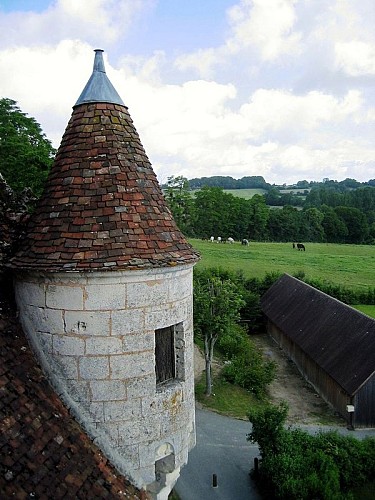 Echauguette-Manoir de Courboyer © Didier Orsal