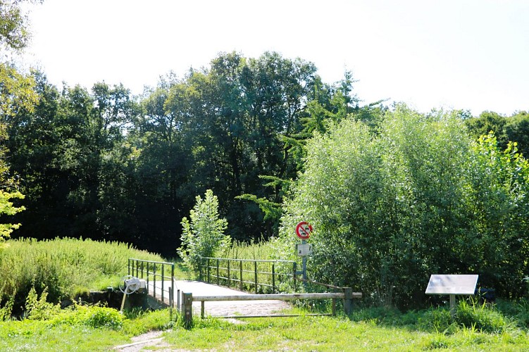 Los bosques de Vitry