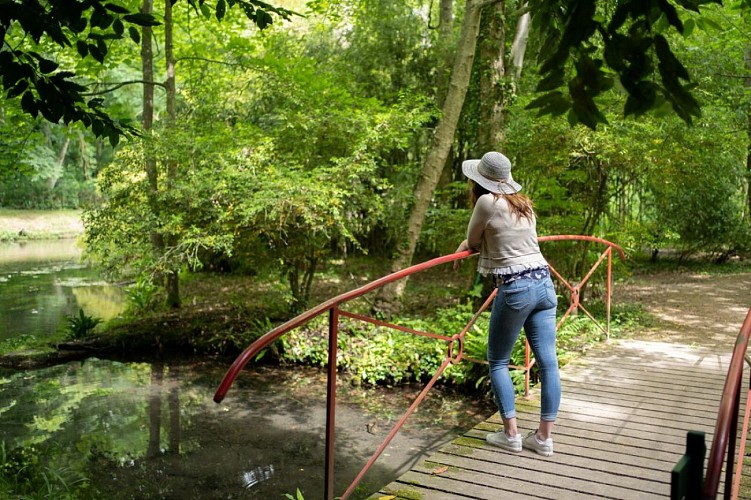 Dans_le_parc_du_chateau_de_Canon-Photo_911___Calvados_Attractivite-10506-1600px