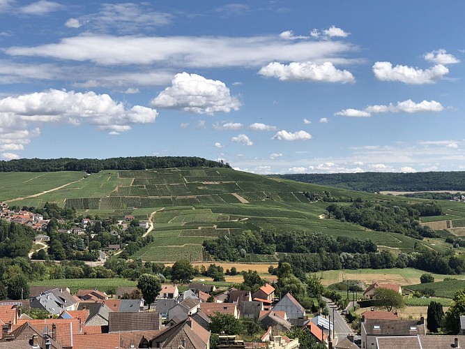 Autour de Châtillon-sur-Marne