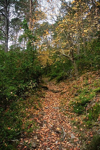 Image du circuit