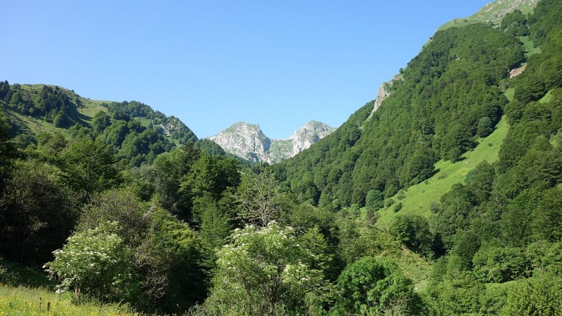 N°54 Col de Pau