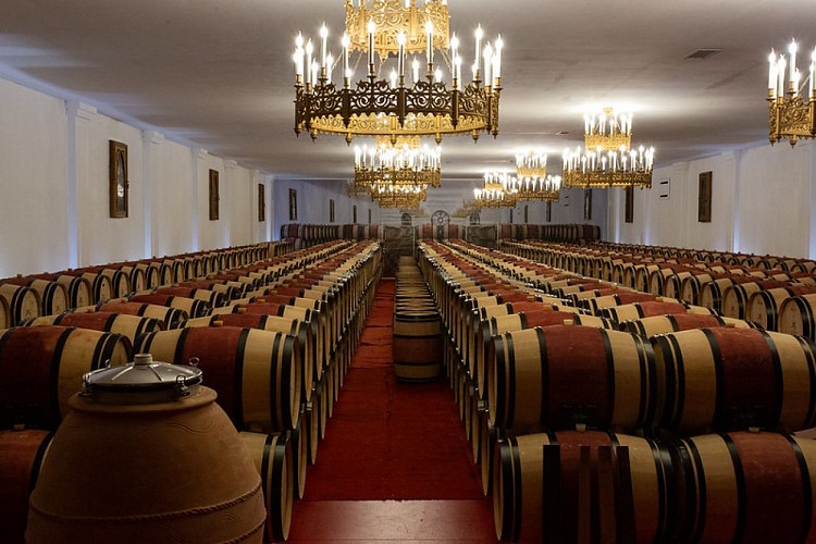 49231434188_125f630098_c