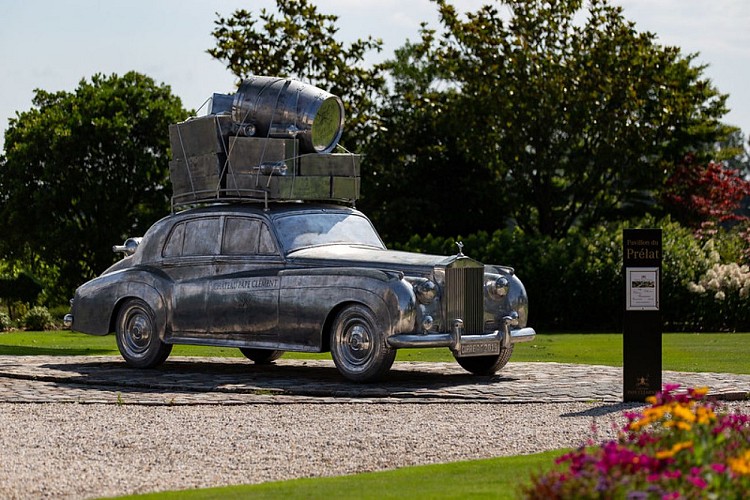 51290238420_6506cfb505_c