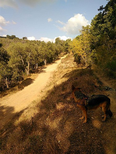 La fin du hors-piste recommandé par Seypah