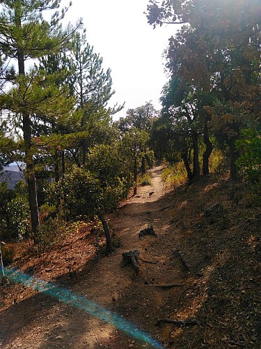 Le parcours Découverte